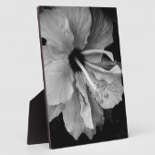 ハイビスカスフライヤー フォトプラーク (側面)