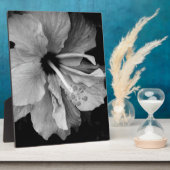 ハイビスカスフライヤー フォトプラーク (側面)