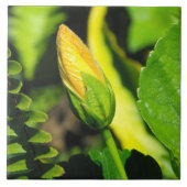 ハイビスカスフラワーバド タイル (正面)