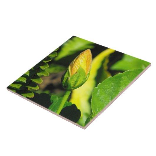 ハイビスカスフラワーバド タイル (側面)