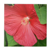 ハイビスカスフラワーブライトマゼンタフローラ タイル (正面)