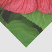 ハイビスカスフラワーブライトマゼンタフローラ 薄葉紙 (詳細)