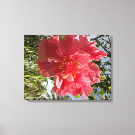 ハイビスカスフラワープリント@3dudes1life キャンバスプリント
