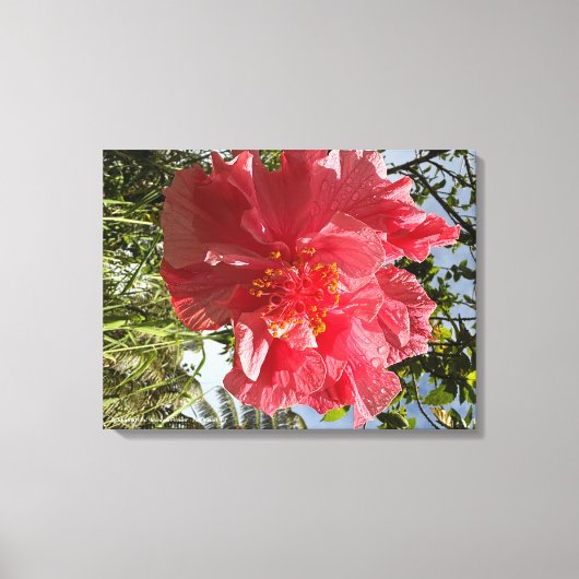 ハイビスカスフラワープリント@3dudes1life キャンバスプリント (正面)