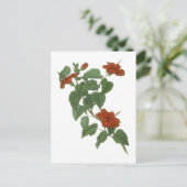 ハイビスカスフラワーボタニカルスケッチ ポストカード (スタンド正面)