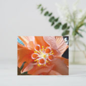 ハイビスカスボタニカルフラワークローズアップ写真 ポストカード (スタンド正面)