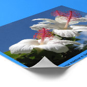 ハイビスカスワイメイアットマブライドガーデン – NTBG – カウアイ ポスター (角)