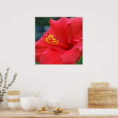 ハイビスカス太陽 ポスター (キッチン)