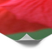 ハイビスカス太陽 ポスター (角)