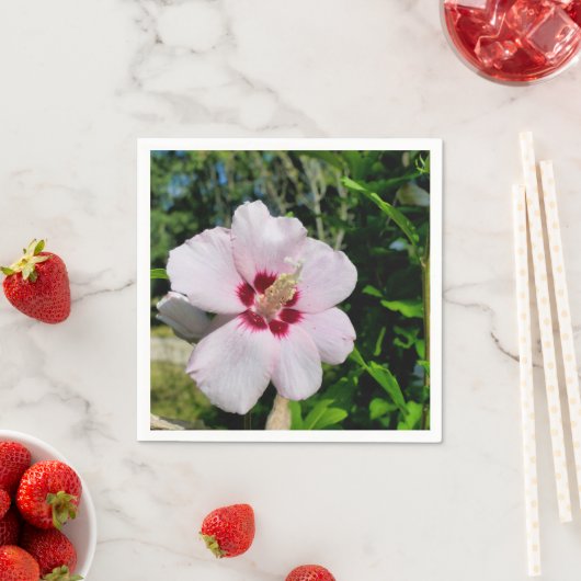 ハイビスカス紙ナプキンス スタンダードカクテルナプキン (インサイチュ)