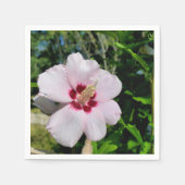 ハイビスカス紙ナプキンス スタンダードカクテルナプキン (正面)