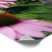 ハイビスカス花の部分色 ポスター (角)