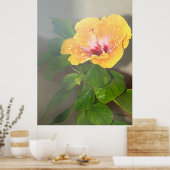 ハイビスカス花水滴ポスター ポスター (キッチン)