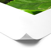 ハイビスカス花 ポスター (角)