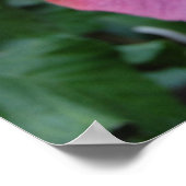 ハイビスカス花 ポスター (角)