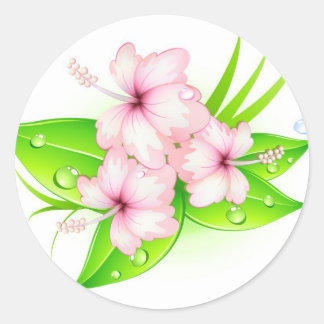 ハイビスカス花 ラウンドシール