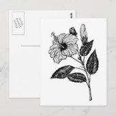 ハイビスカス花III ポストカード (正面/裏面)