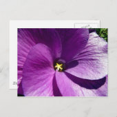 ハイビスカス13 ポストカード (正面/裏面)