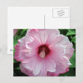 ハイビスカス21 ポストカード (正面/裏面)