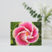 ハイビスカス30 ポストカード (スタンド正面)