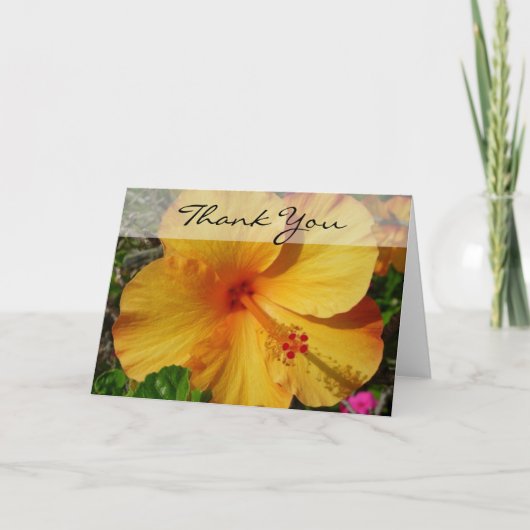 ハイビスカス-ありがとう サンキューカード (正面)