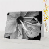 ハイビスカス カード (黄色い花)