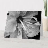 ハイビスカス カード (正面)