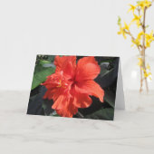 ハイビスカス カード (黄色い花)