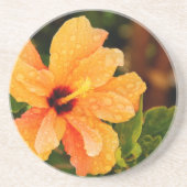 ハイビスカス コースター (正面)