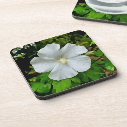 ハイビスカス コースター (左側)