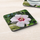 ハイビスカス コースター (左側)