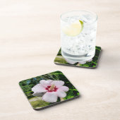 ハイビスカス コースター (右側)