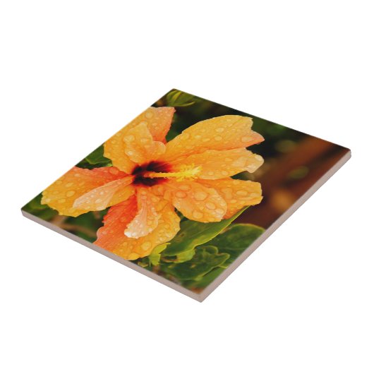 ハイビスカス タイル (側面)