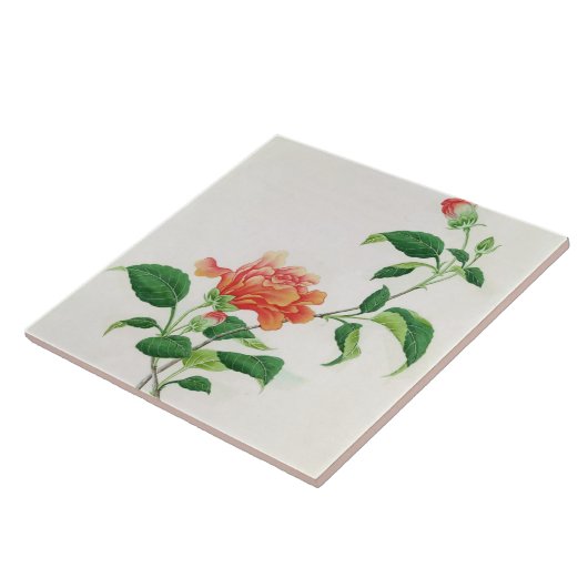 ハイビスカス タイル (側面)