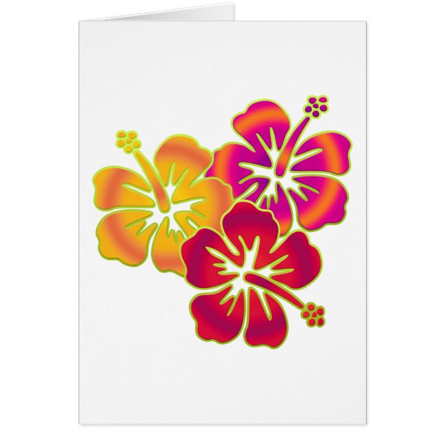 ハイビスカス・トリオ (正面)