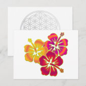 ハイビスカス・トリオ ポストカード (正面/裏面)