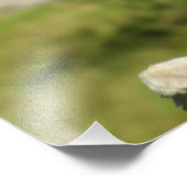 ハイビスカス フォトプリント            (角)