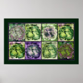 ハイビスカス ポスター (正面)