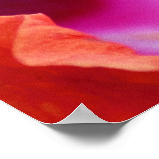 ハイビスカス ポスター (角)