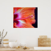 ハイビスカス ポスター (キッチン)