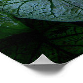 ハイビスカス ポスター (角)