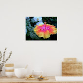 ハイビスカス ポスター (キッチン)