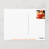 ハイビスカス ポストカード (裏面)