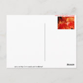 ハイビスカス ポストカード (裏面)