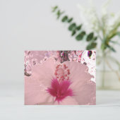 ハイビスカス ポストカード (スタンド正面)