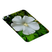 ハイビスカス マグネット (右側)