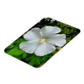 ハイビスカス マグネット (左側)