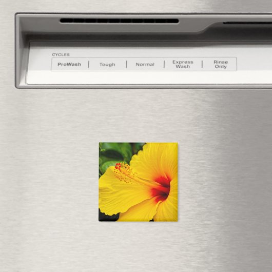 ハイビスカス マグネット (インサイチュ (食洗機))