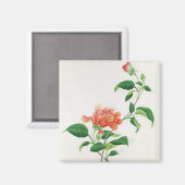 ハイビスカス マグネット (正面/裏面)