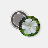 ハイビスカス マグネット (正面/裏面)